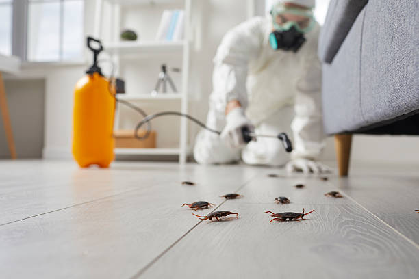 Commercial Kitchen Cockroach Control in South Monrovia Island